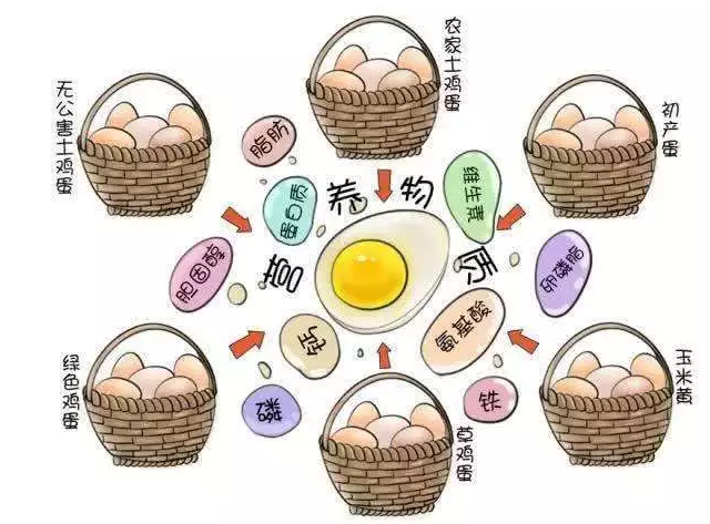 遍尋菜譜收集的雞蛋7中新吃法，第2中最好，第7中最營養(yǎng)
